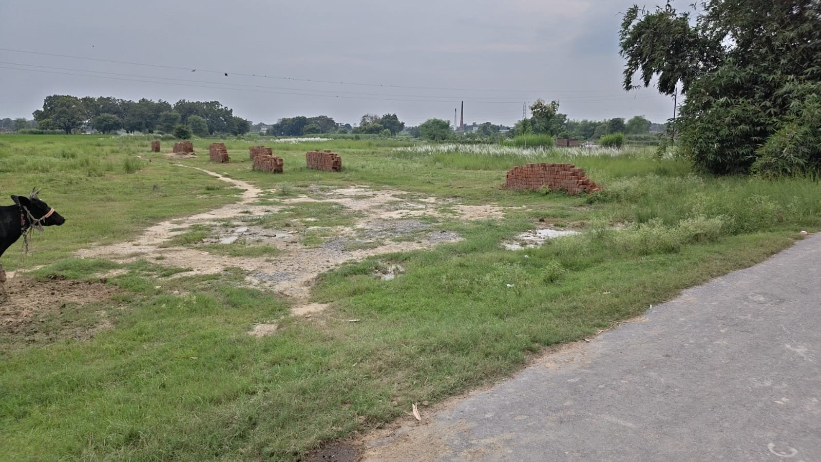 Khewali Rameshwar — Plot 3