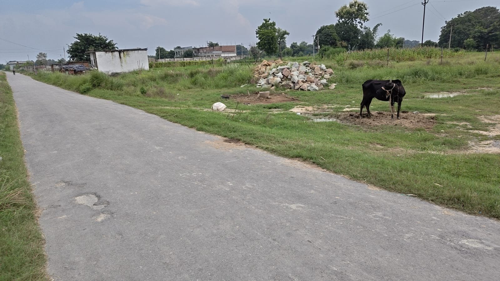 Khewali Rameshwar — Plot 4