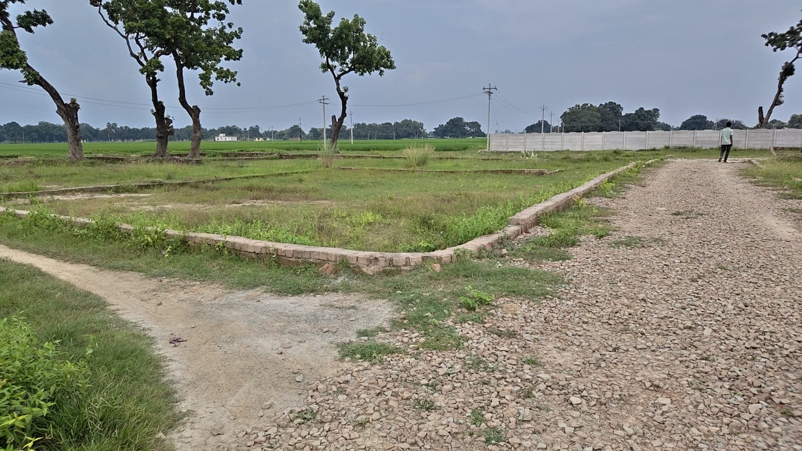 NCML Hathi — Plot 1