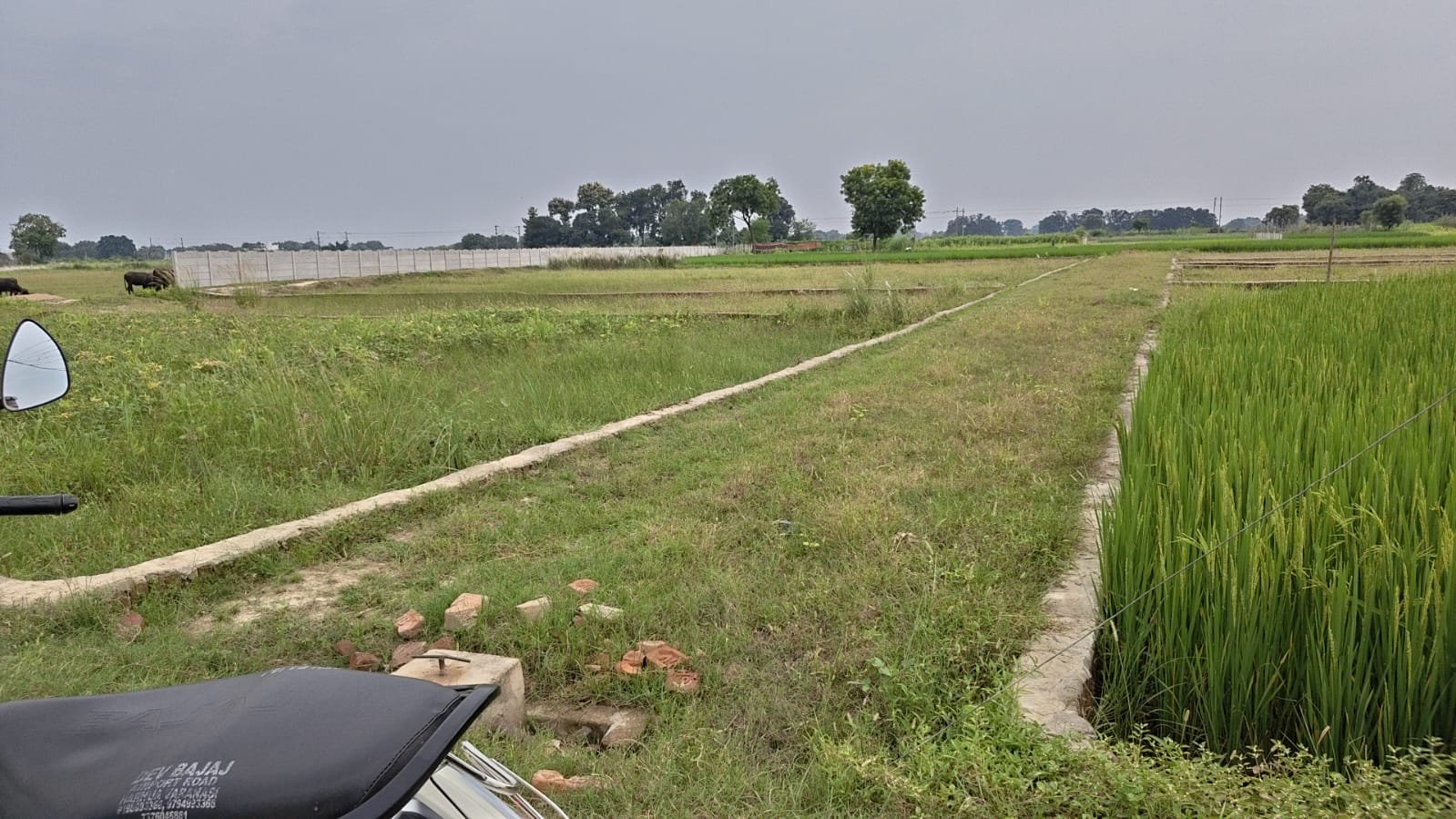 NCML Hathi — Plot 2