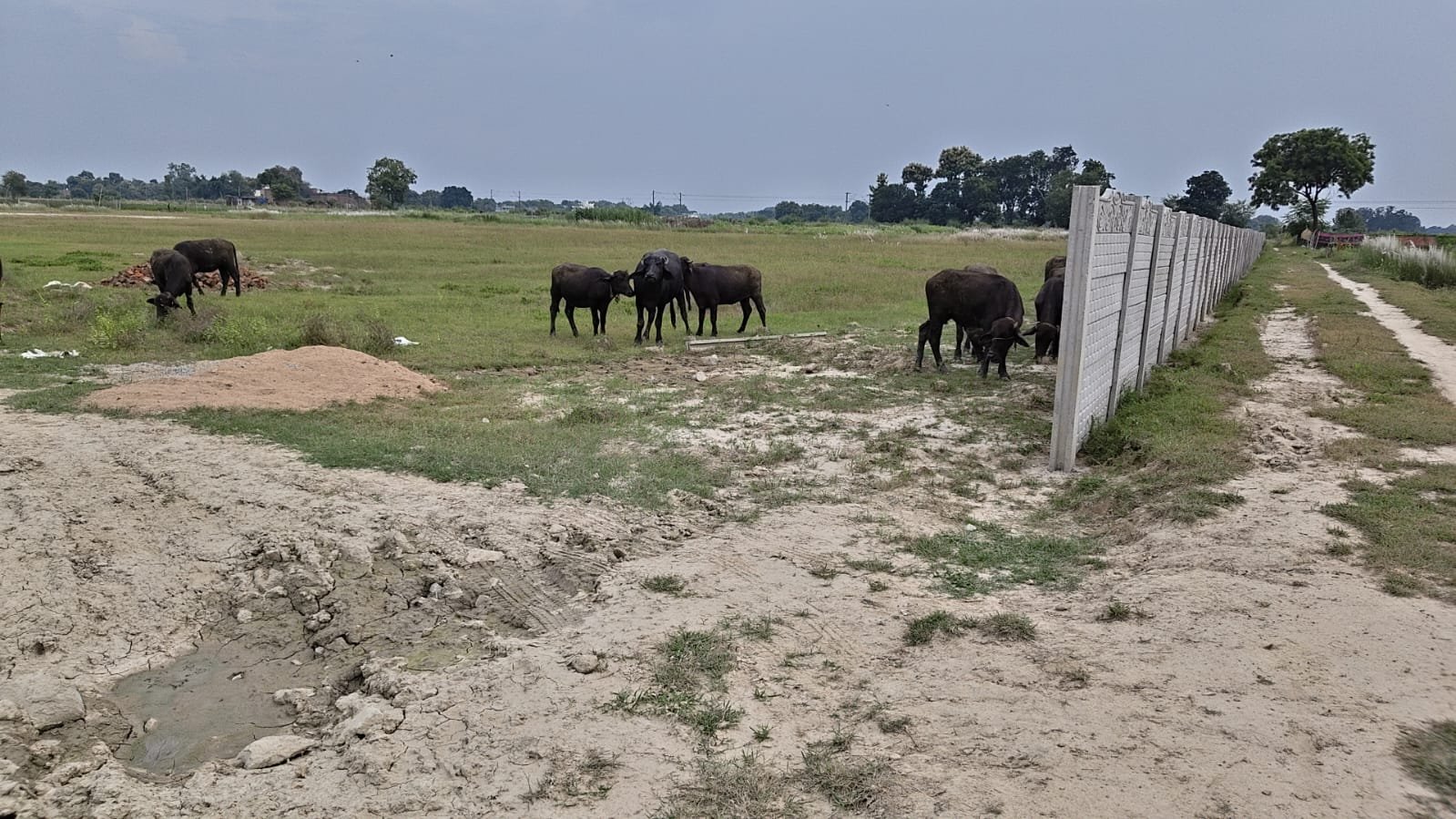NCML Hathi — Plot 3