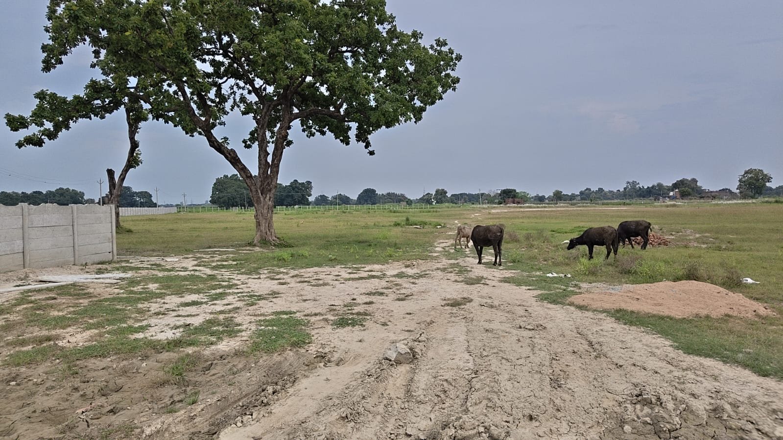 NCML Hathi — Plot 4