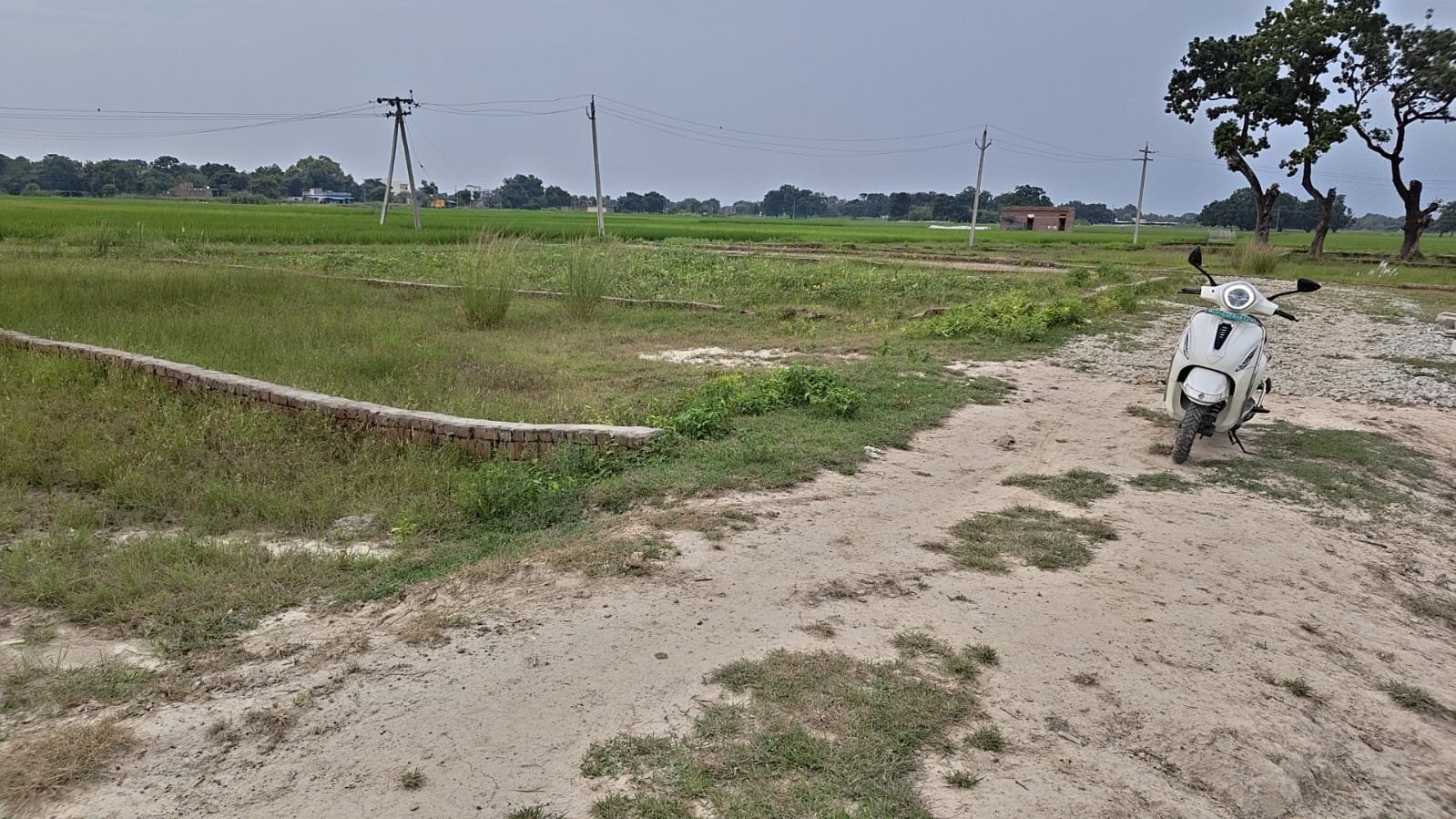 NCML Hathi — Plot 5