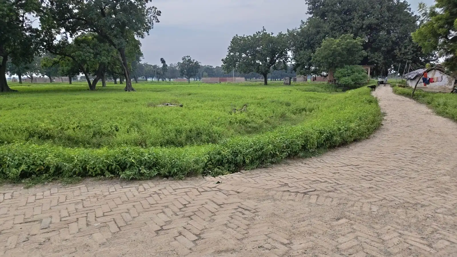Kali Mata Mandir — Plot 1