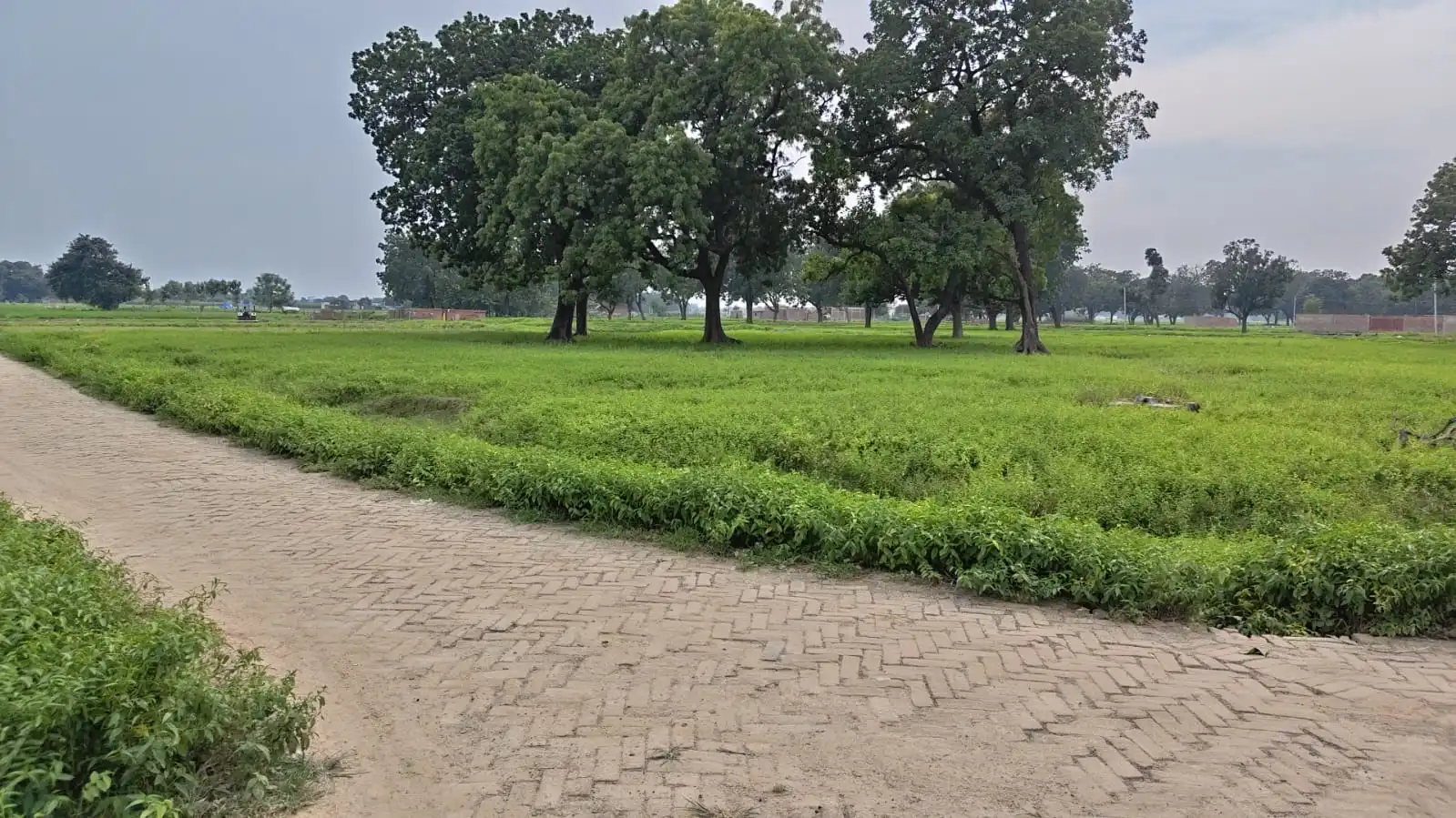 Kali Mata Mandir — Plot 2
